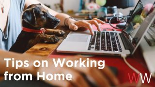 Tips on Working from Home